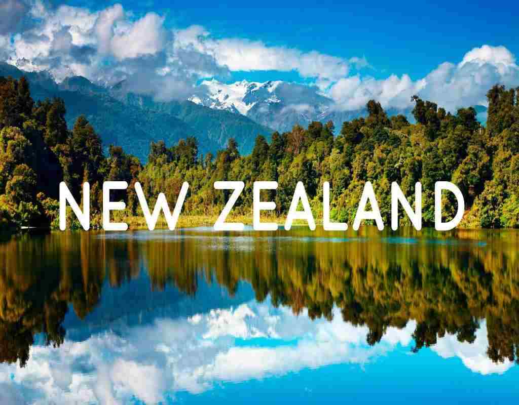NZ BANNER
